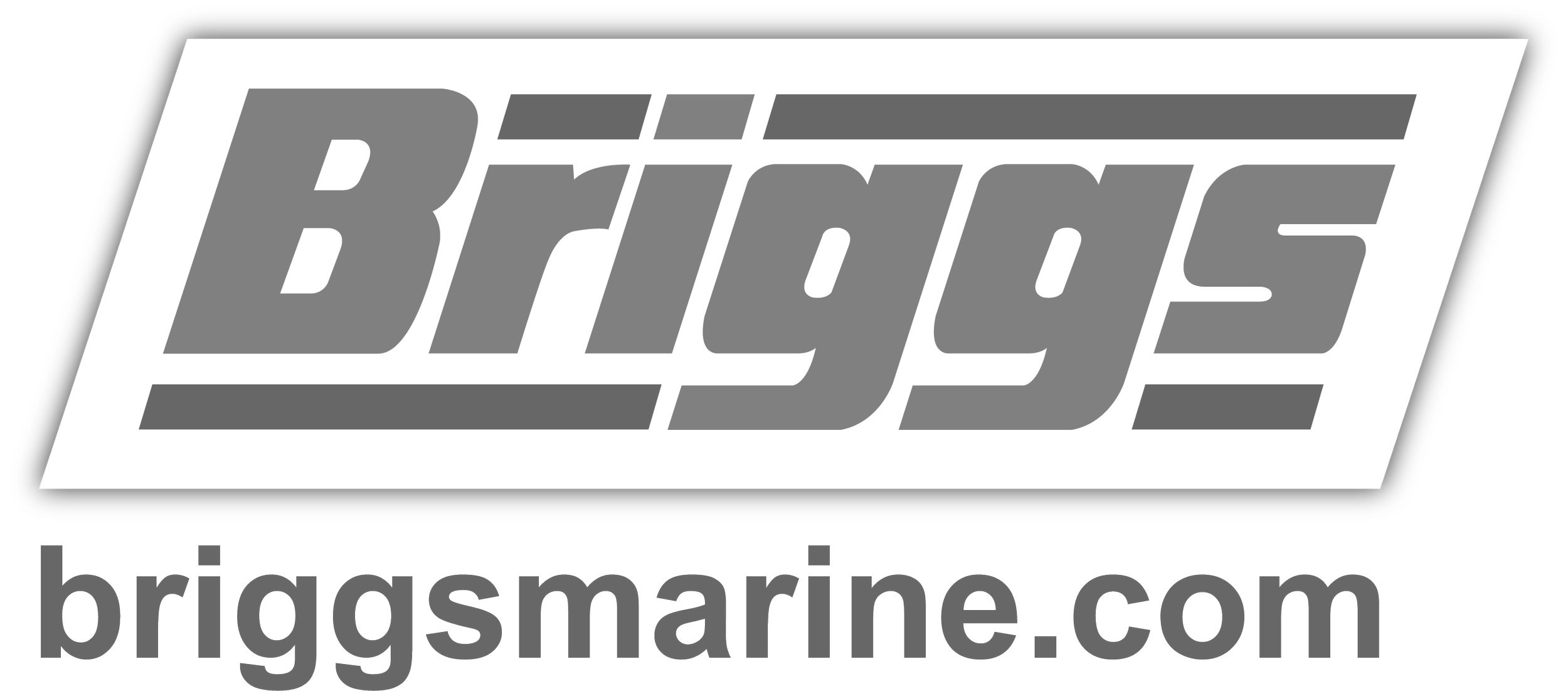 Briggs+Marine+Logo+2023+-+SHADOW+Web+Tagline+BLUE.jpg