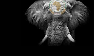 Legal leaders in Africa: Waking the elephant